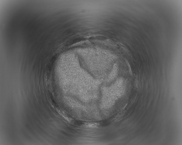 X0000082760569200702162028