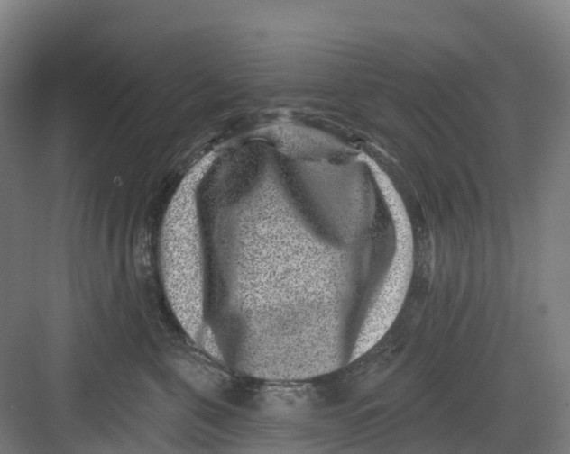 X0000082760571200702162028