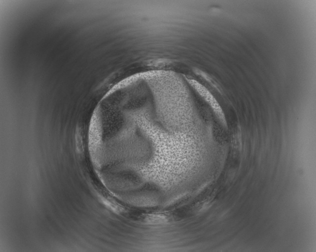 X0000082760572200702162028