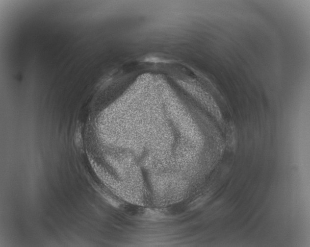 X0000082760573200702162028