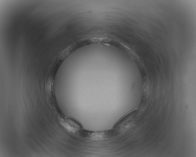 X0000082760574200702162028