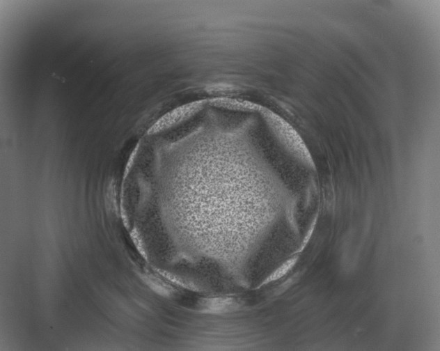 X0000082760575200702162028