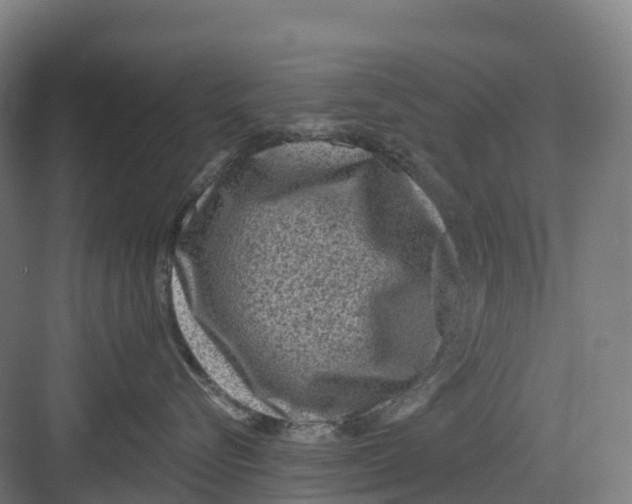 X0000082760576200702162028