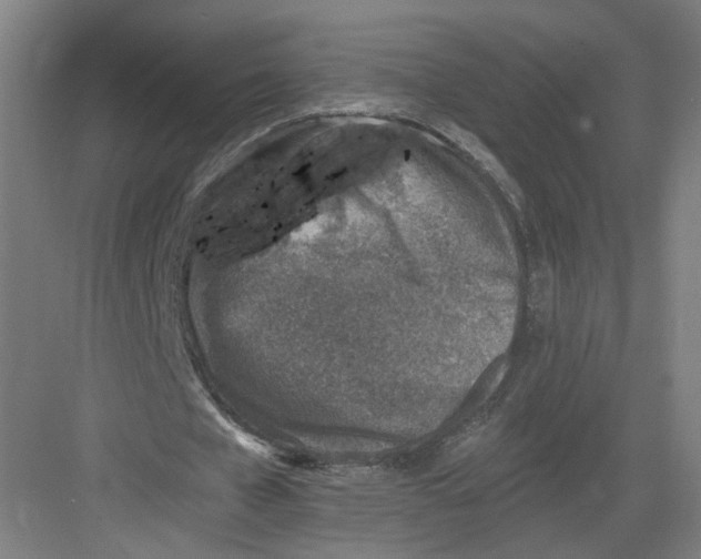 X0000082760577200702162028