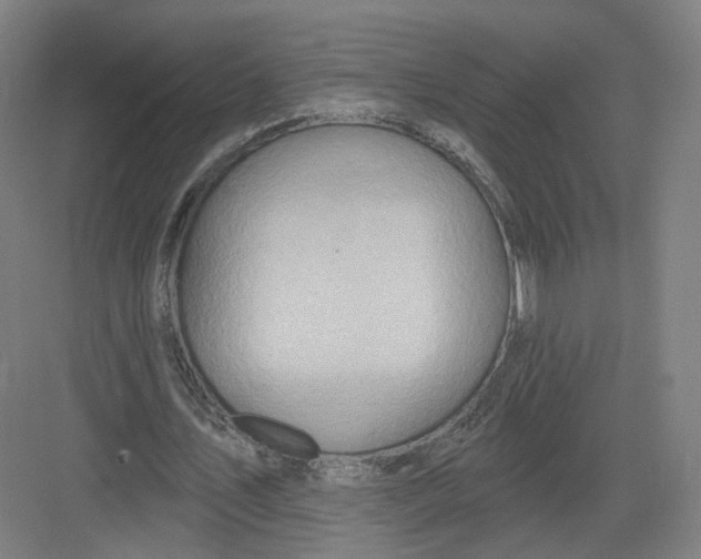 X0000082760579200702162027