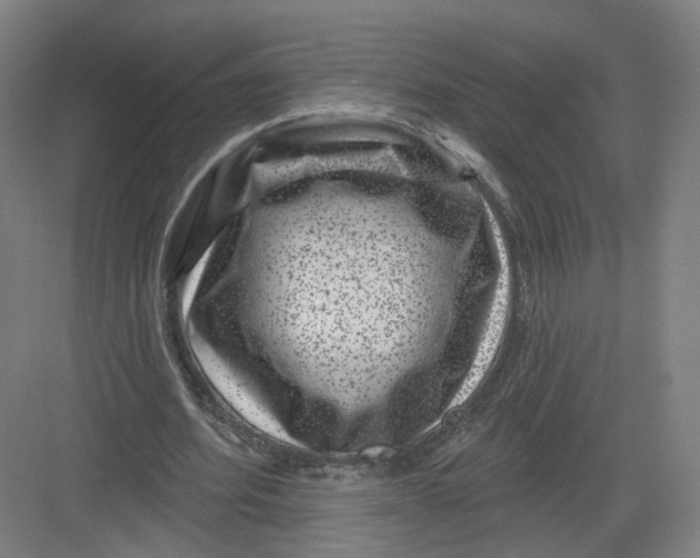 X0000082760580200702162027