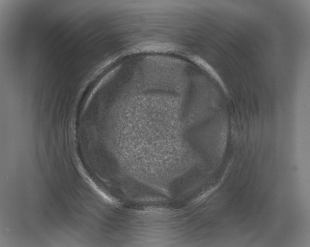 X0000082760581200702162027