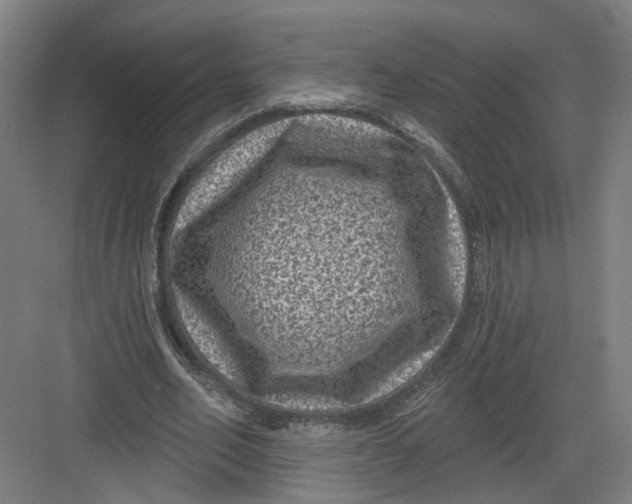 X0000082760582200702162027