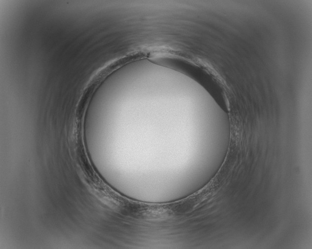 X0000082760583200702162027