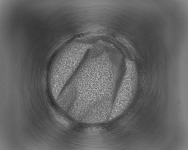 X0000082760586200702162027