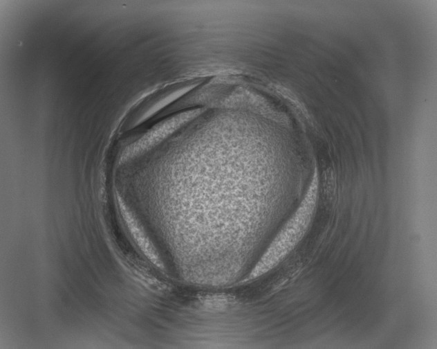 X0000082760587200702162027