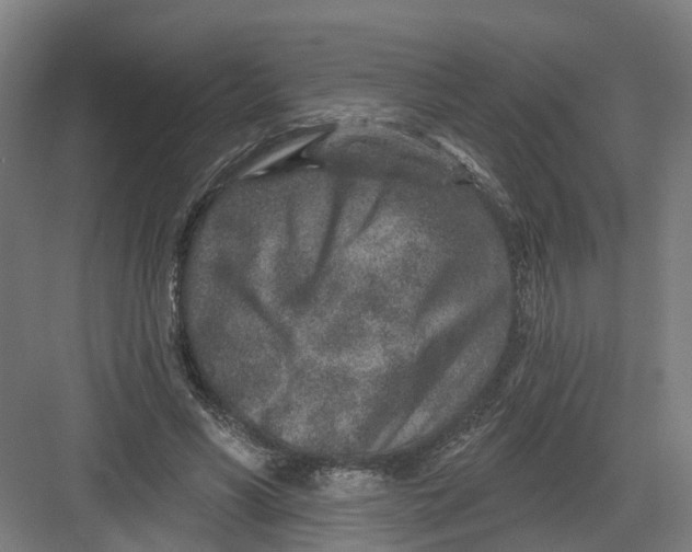 X0000082760590200702162027