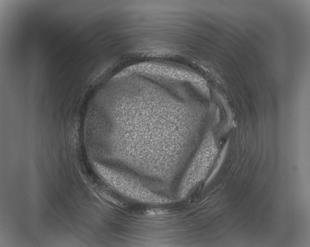 X0000082760591200702162027