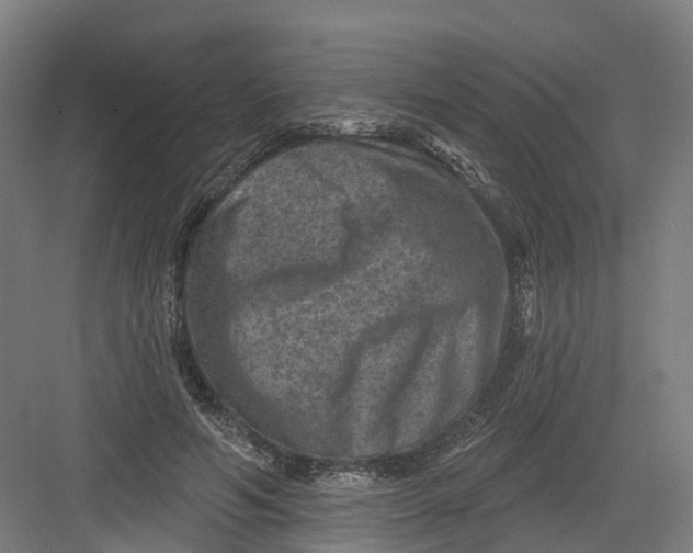 X0000082760594200702162027