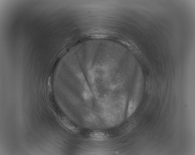 X0000082760598200702162027