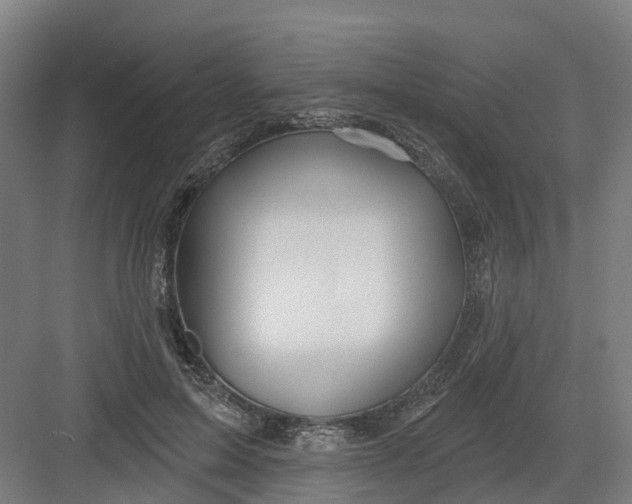 X0000082760599200702162027