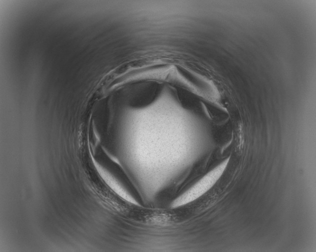 X0000082760600200702162027