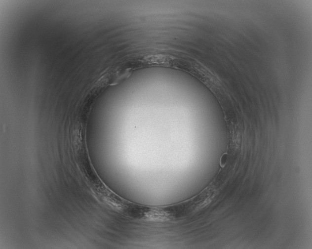 X0000082760603200702162027