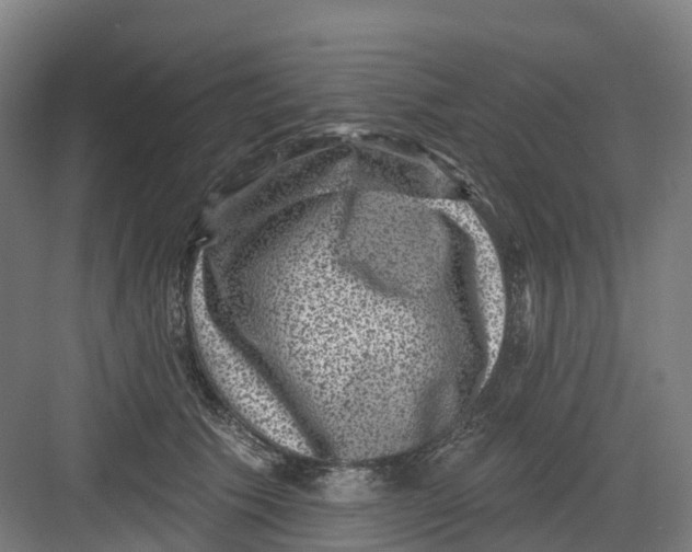 X0000082760609200702162027