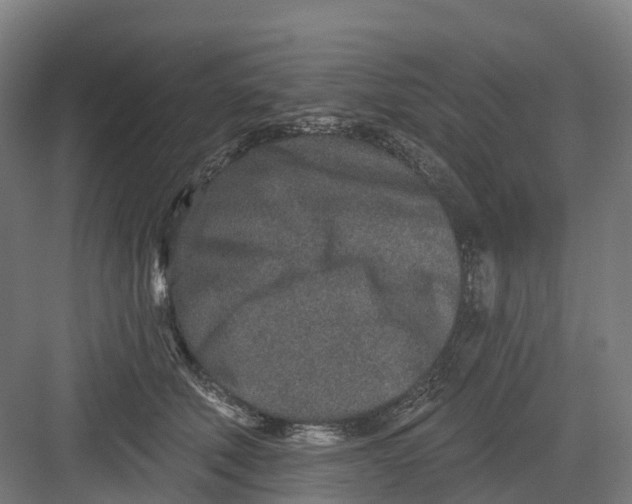 X0000082760610200702162027