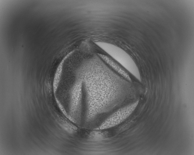 X0000082760613200702162027