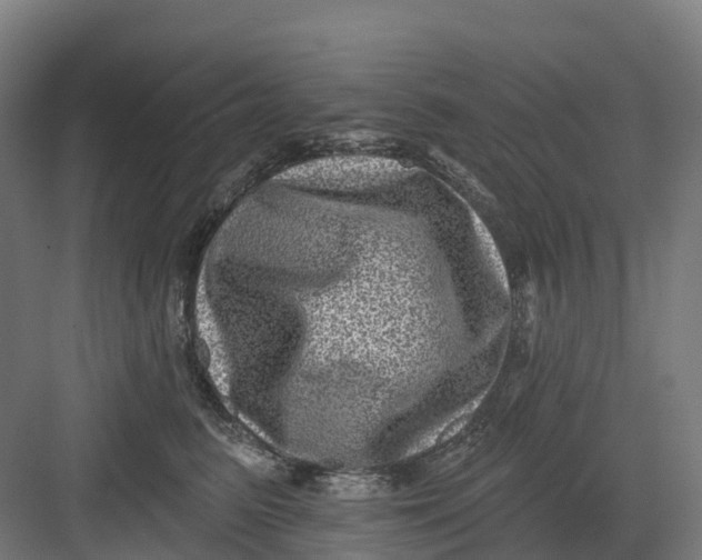 X0000082760615200702162027