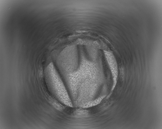 X0000082760617200702162027