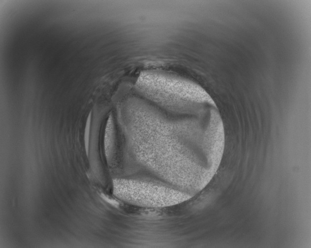 X0000082760624200702162027