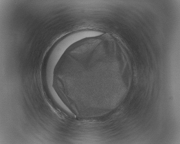 X0000082760626200702162026