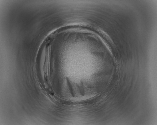 X0000082760628200702162026