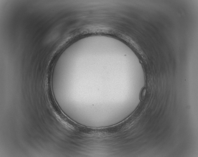 X0000082760629200702162026