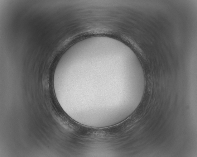 X0000082760631200702162026