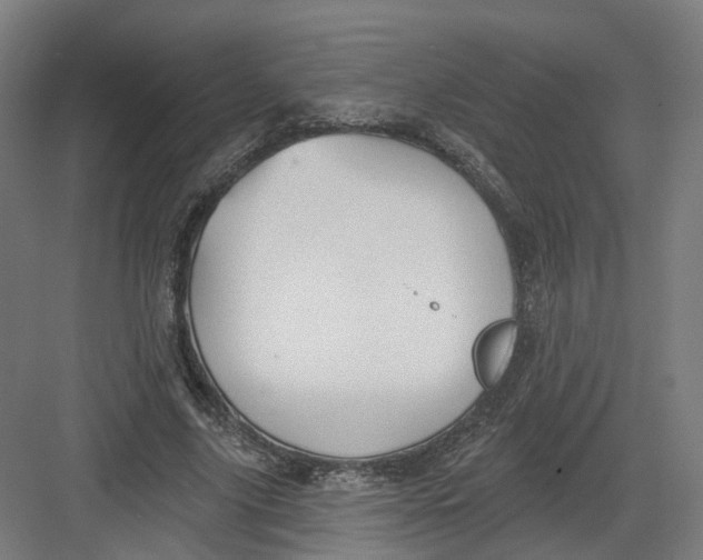 X0000082760635200702162026