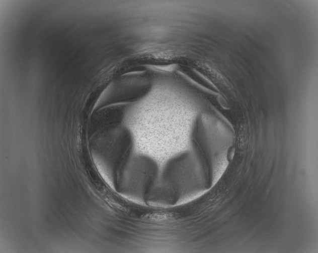 X0000082760639200702162026