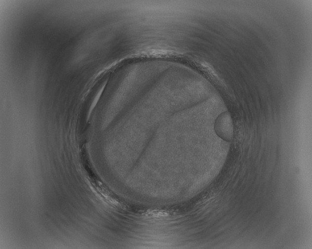 X0000082760640200702162026