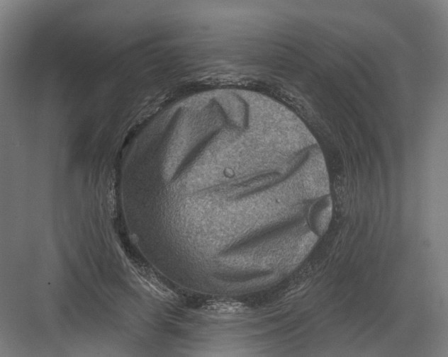 X0000082760642200702162026