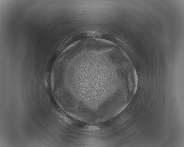 X0000082760649200702162026