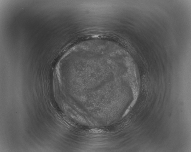 X0000082760650200702162026