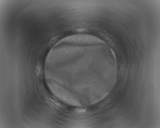 X0000082760651200702162026