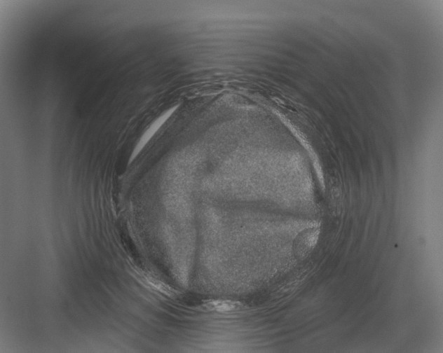 X0000082760654200702162026