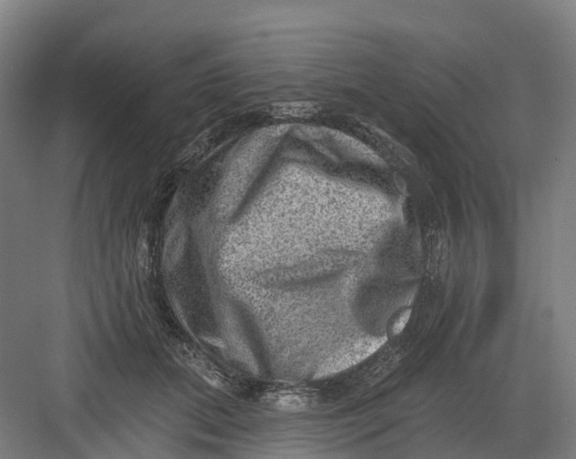 X0000082760655200702162026