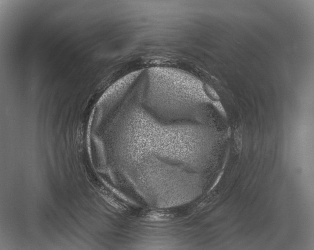 X0000082760657200702162026