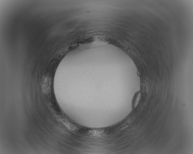 X0000082760660200702162027