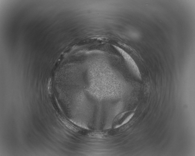 X0000082760661200702162027