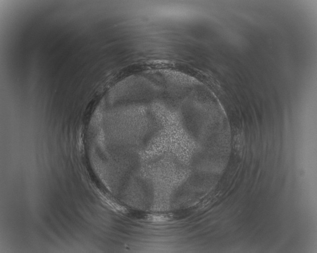 X0000082760662200702162027