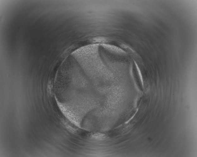 X0000082760669200702162027