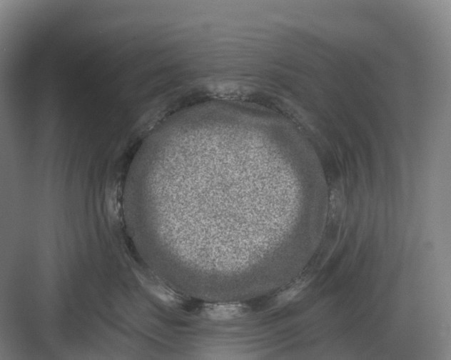 X0000082760671200702162027