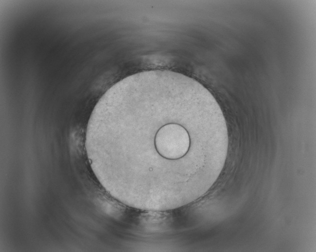 X0000082760672200702162027