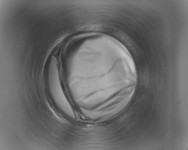 X0000082760674200702162026