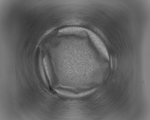 X0000082760675200702162026